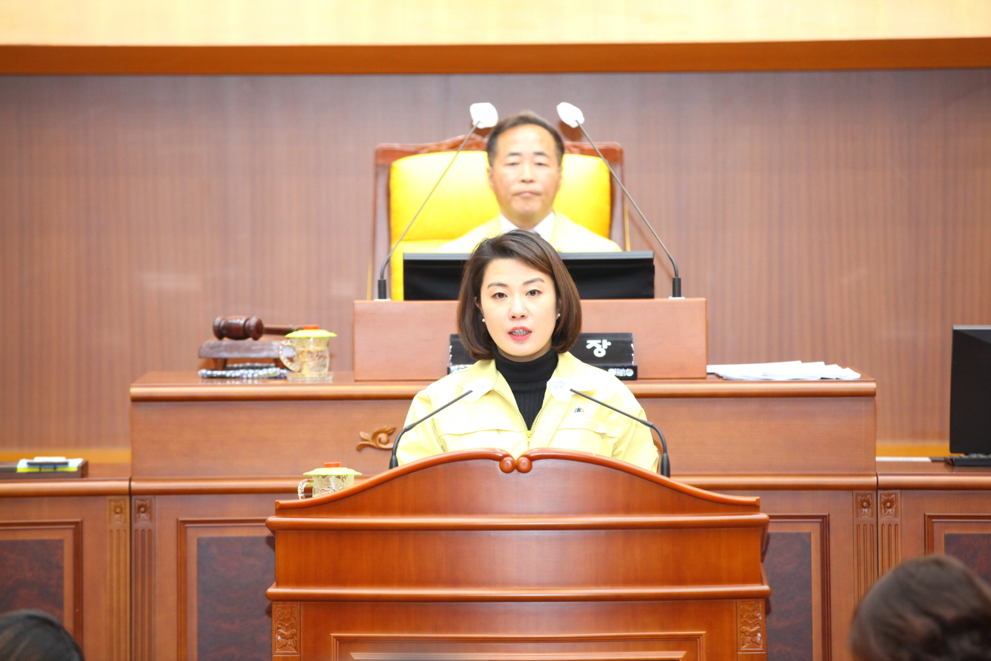 제294회 도봉구의회 임시회 본회의 개회 - 5