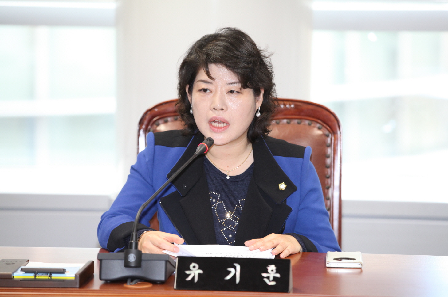 제251회 도봉구의회 정례회중 예산결산특별위원회 - 2