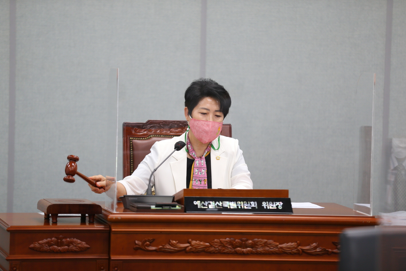 예산결산특별위원회 구성 - 3