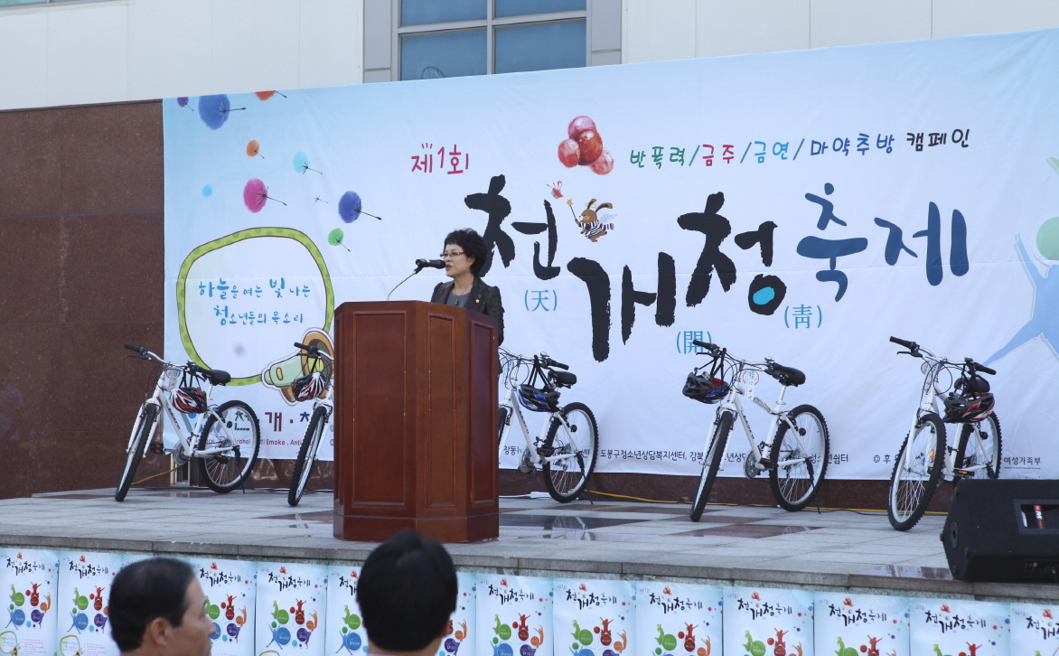 제1회 천개청(天開靑) 축제 - 1