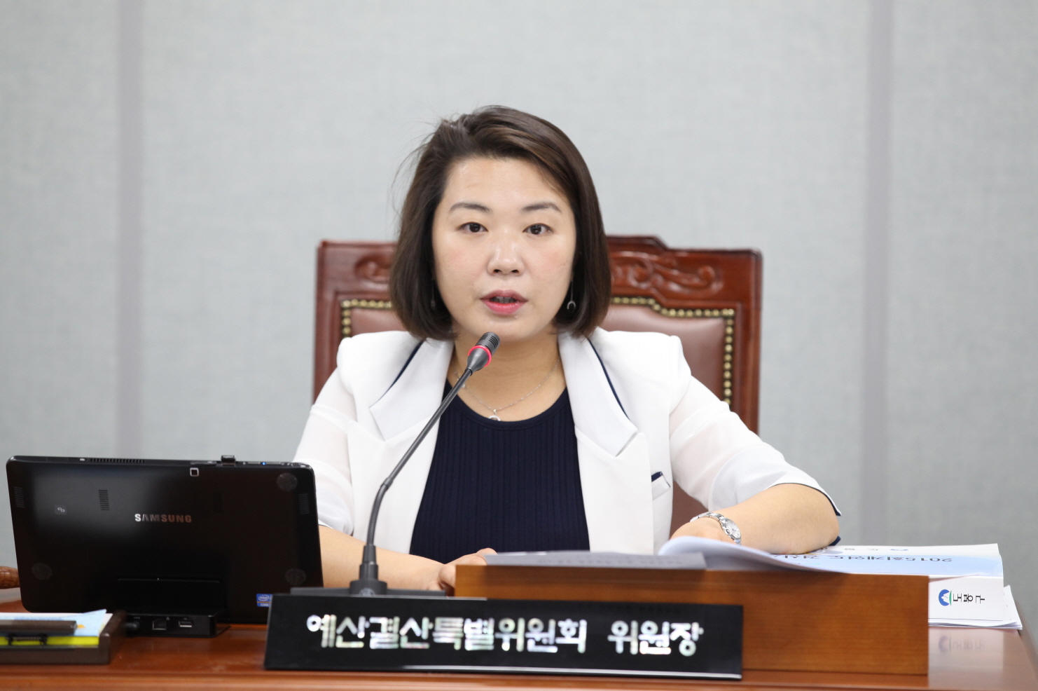 제256회 도봉구의회 정례회중 예산결산특별위원회 - 1