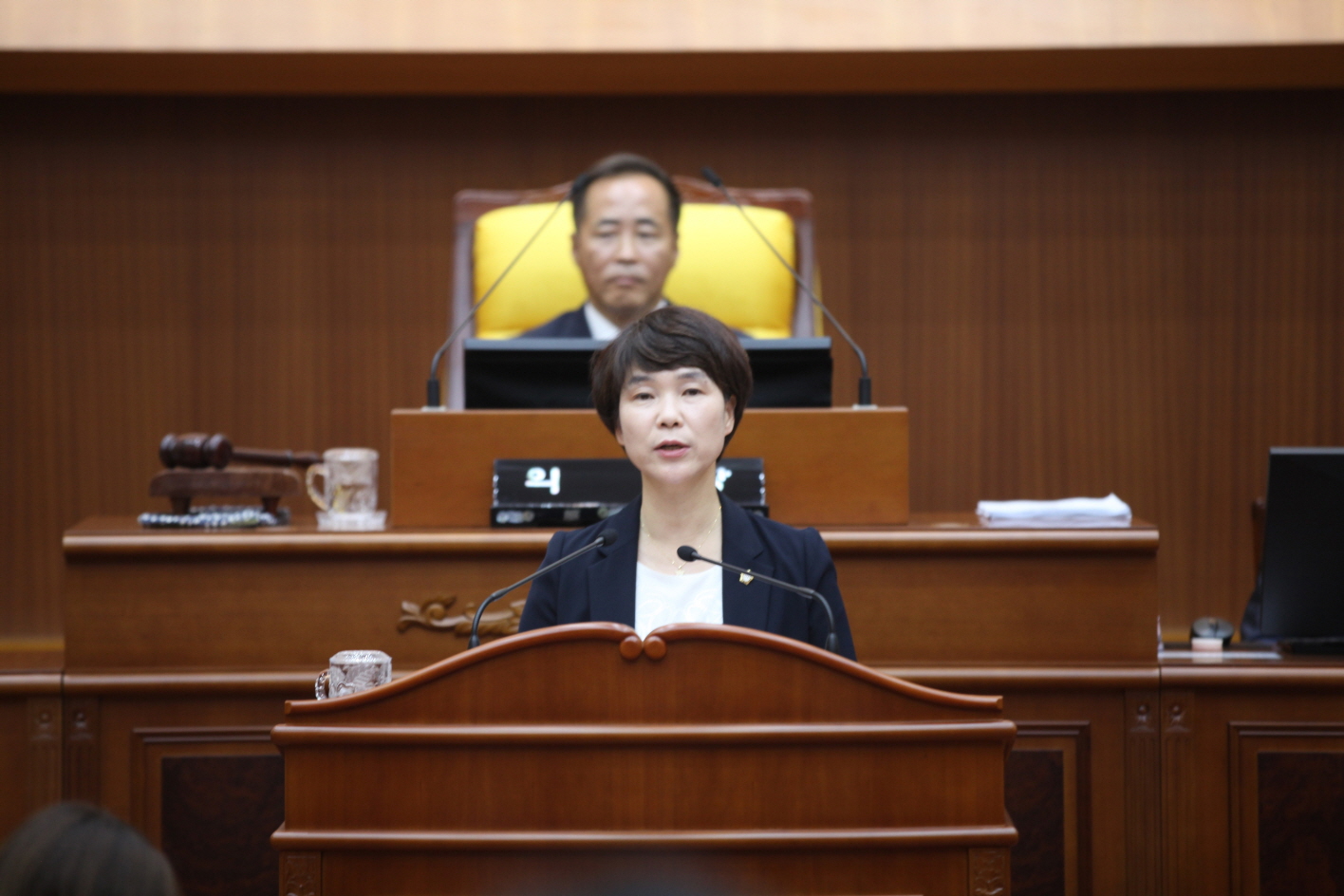 제290회 도봉구의회 임시회중 제2차 본회의 - 5