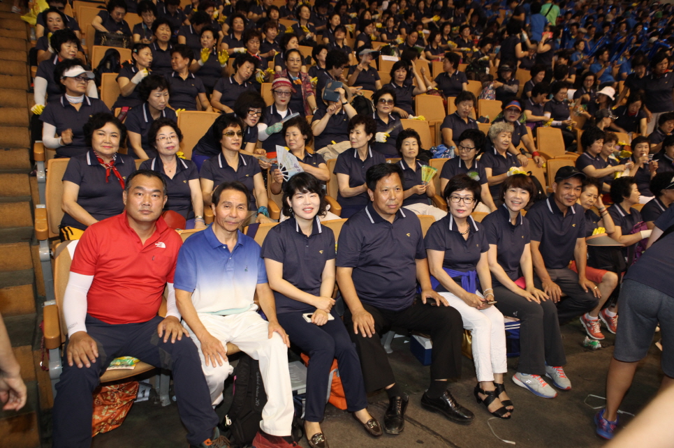 광복70주년기념 2015 서울시민생활체육대회 - 2