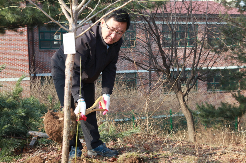 창2동 나무거름주기 행사 - 3