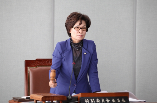 제229회 도봉구의회 임시회중 예산결산특별위원회