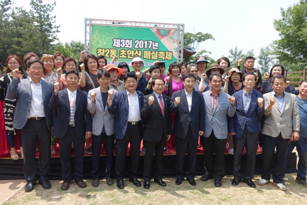 제3회 초안산 매실축제