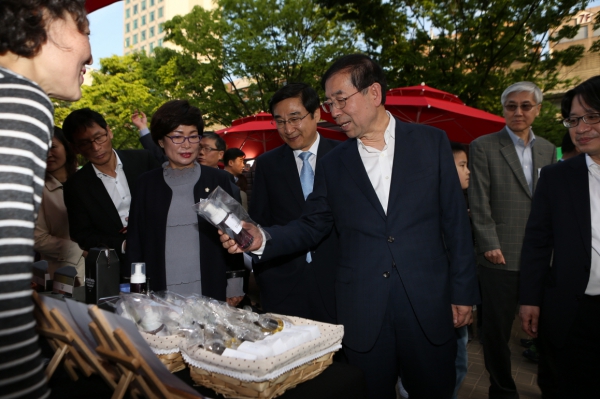 플랫폼 창동 61 개장행사