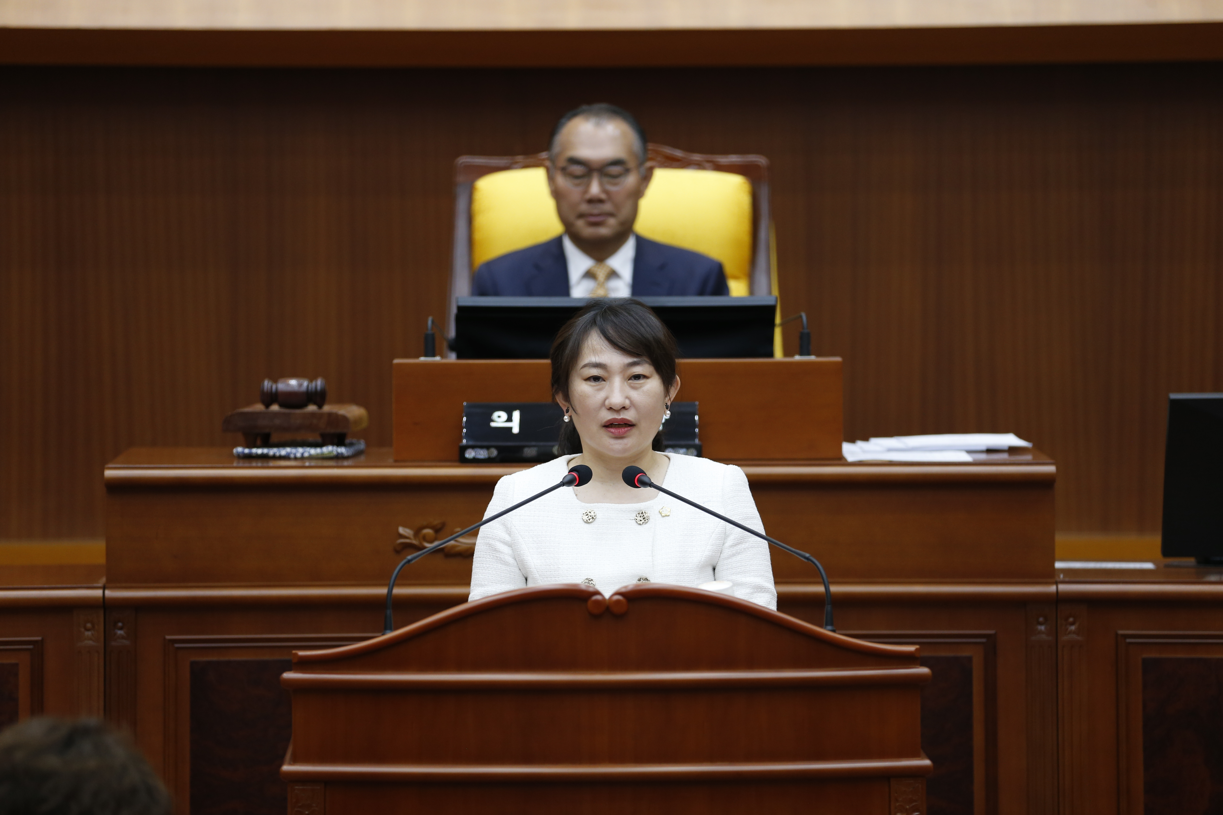 [제334회 임시회] 제2차 본회의 - 3