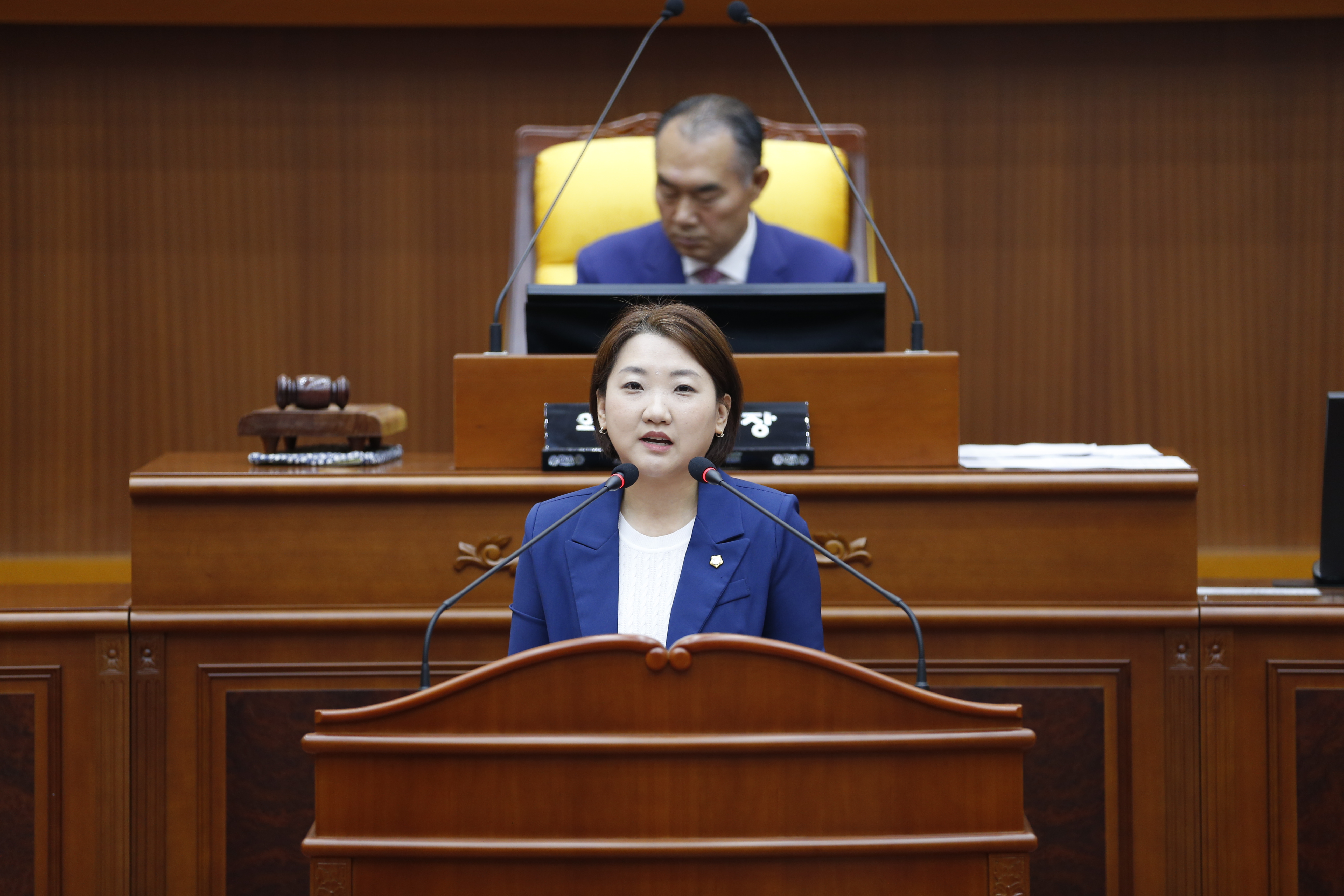 [제335회 정례회] 제1차 본회의 5분발언 - 1