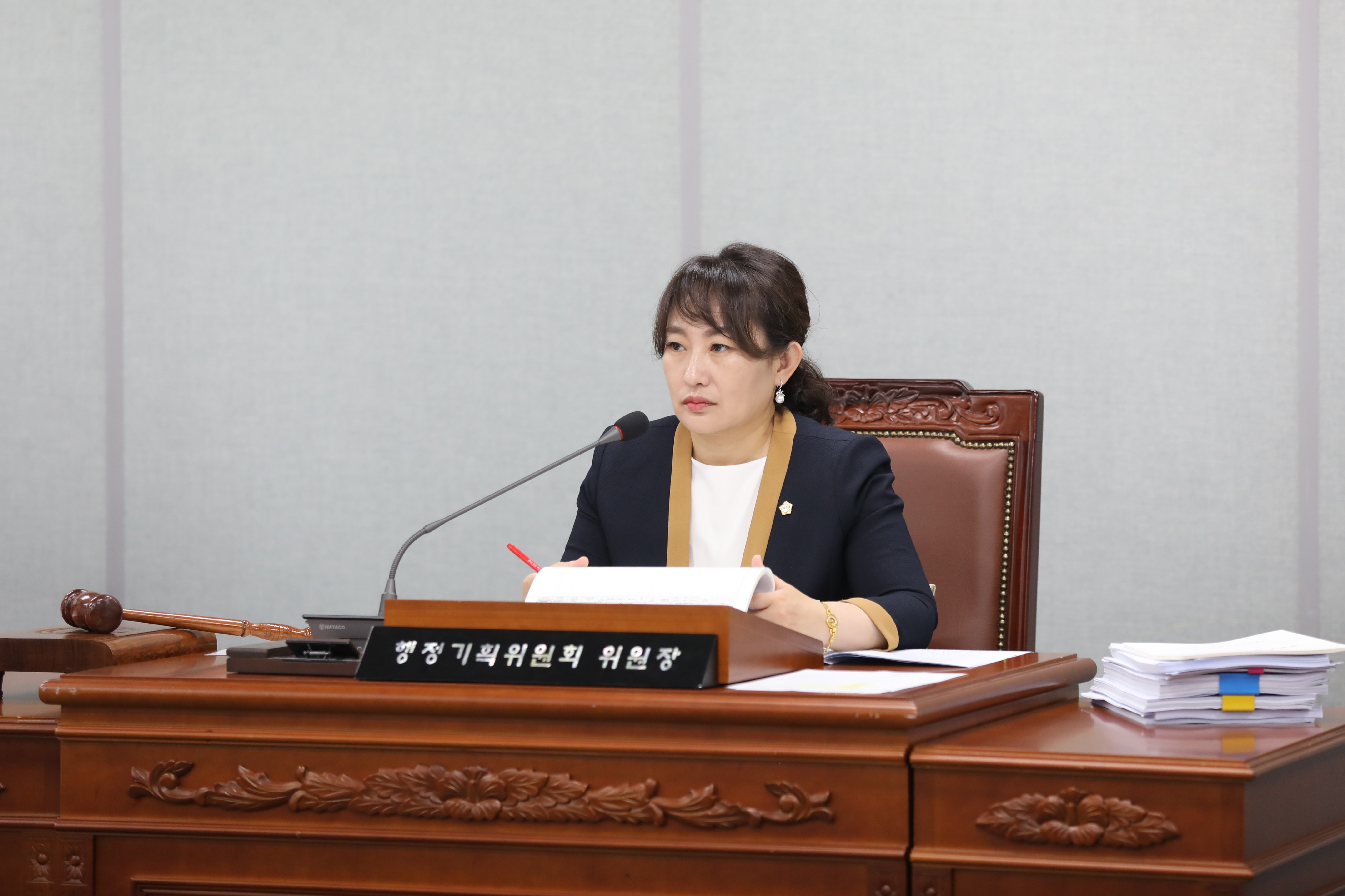 [제335회 정례회] 상임위원회 의원대표발의조례 - 3
