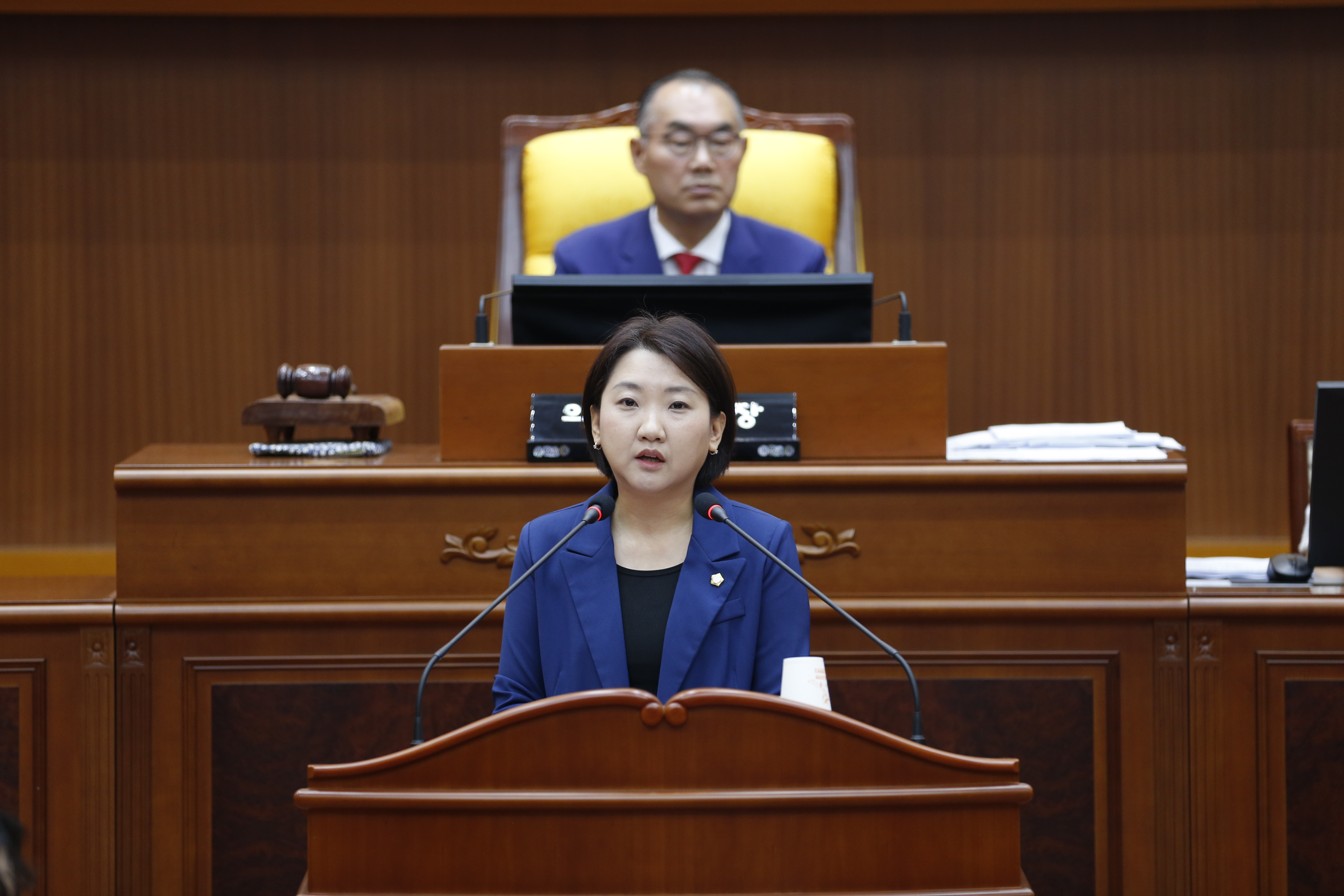[제335회 정례회] 제4차 본회의 - 4