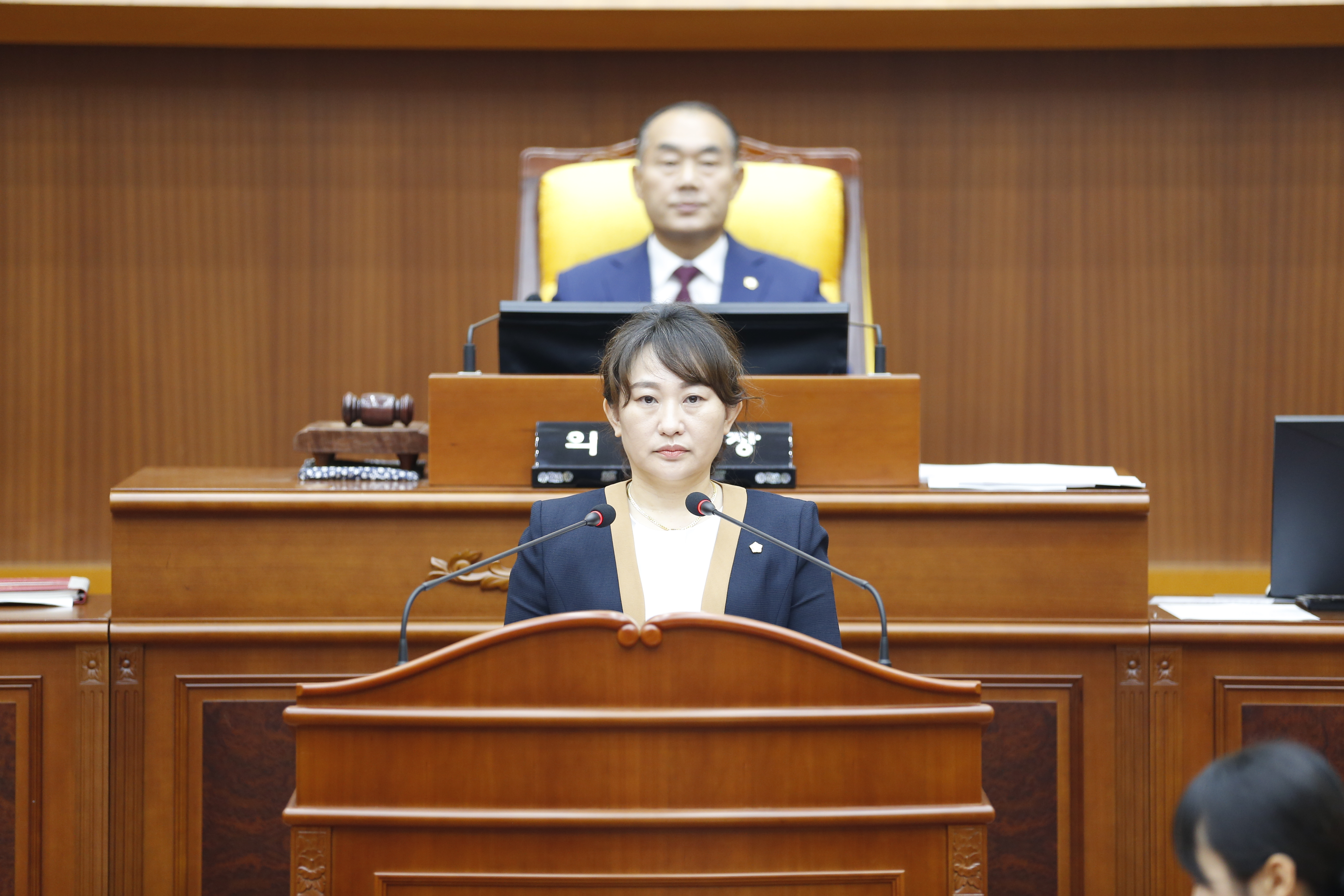 제356회임시회 2차 본회의 - 2