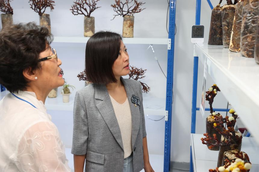 도봉구 마을기업 자연사랑능력개발 협동조합 개소식