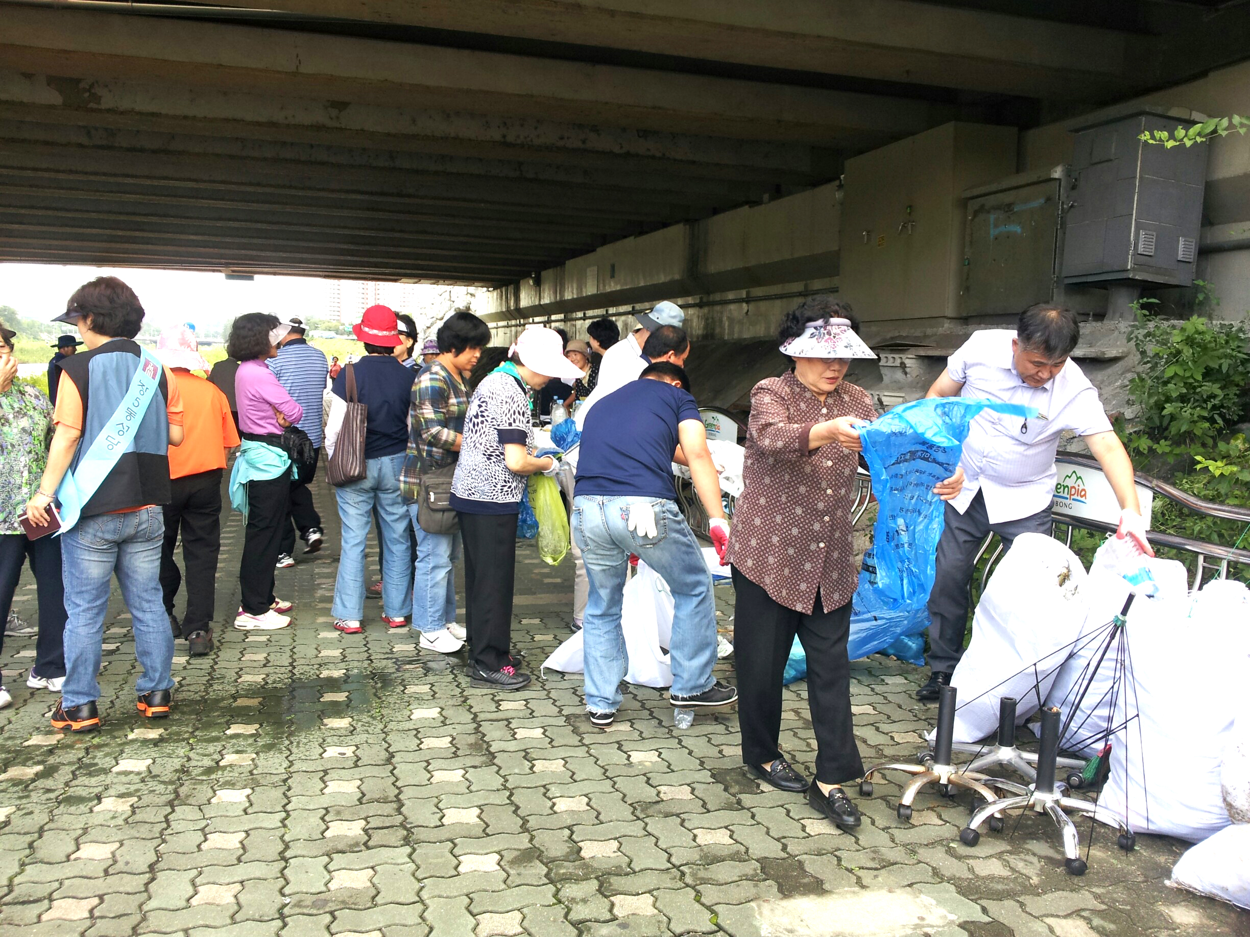 레지오마리애봉사단, 중랑천 환경 정화 활동 실시 (동북일보