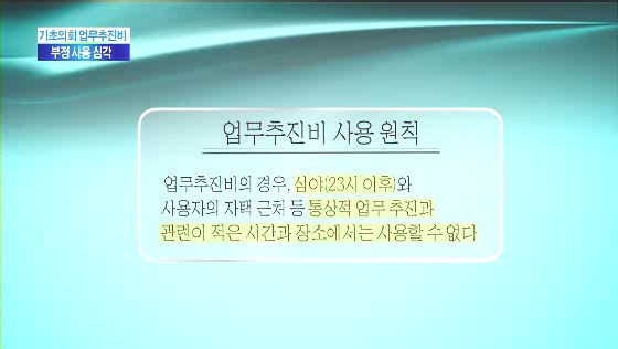 기초의회 업무추진비 부정사용 
