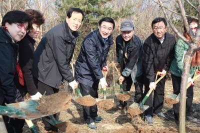 태풍 폐허 현장이 과수원으로(시사프리신문