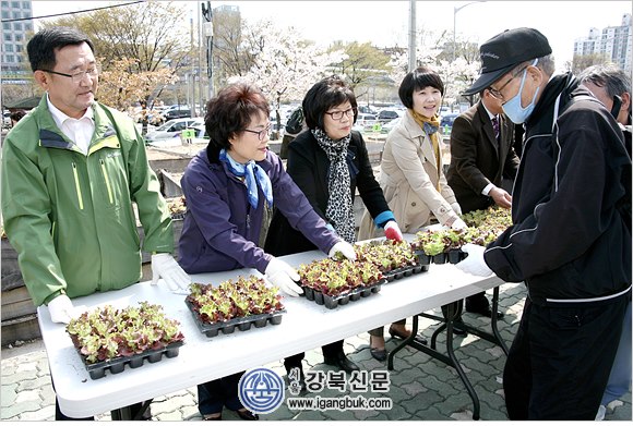 창동 친환경 영농 체험장 개장(서울강북신문